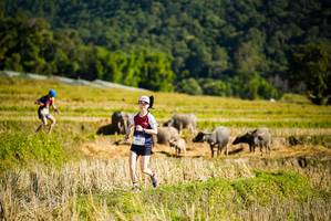 BIB: 1417
                            <button type="button" onclick="openModal(19127930)" class="btn btn-primary btn-sm float-right btn-popup" data-toggle="modal" data-target=".modal-high-quality">
                        <i class="fas fa-shopping-cart"></i> Add to Cart
                    </button>
                                            <button type="button" onclick="isThisMe(19127930, true)" class="btn btn-success btn-sm float-right btn-popup btn-isme hidden" data-toggle="tooltip" data-placement="bottom" title="นี่คือรูปของคุณใช่ไหม คลิกที่นี่เพื่อเอาเข้าอัลบั้ม">
                        <i class="fas fa-plus"></i> Add to album
                    </button>
                    <button type="button" onclick="isThisMe(19127930, false)" class="btn btn-warning btn-sm float-right btn-popup btn-isnotme hidden">
                        <i class="fas fa-ban"></i> Remove from album
                    </button>