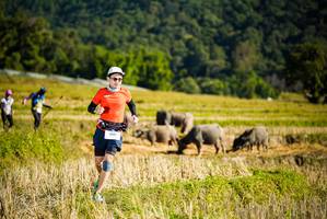 BIB: 1597
                            <button type="button" onclick="openModal(19127951)" class="btn btn-primary btn-sm float-right btn-popup" data-toggle="modal" data-target=".modal-high-quality">
                        <i class="fas fa-shopping-cart"></i> Add to Cart
                    </button>
                                            <button type="button" onclick="isThisMe(19127951, true)" class="btn btn-success btn-sm float-right btn-popup btn-isme hidden" data-toggle="tooltip" data-placement="bottom" title="นี่คือรูปของคุณใช่ไหม คลิกที่นี่เพื่อเอาเข้าอัลบั้ม">
                        <i class="fas fa-plus"></i> Add to album
                    </button>
                    <button type="button" onclick="isThisMe(19127951, false)" class="btn btn-warning btn-sm float-right btn-popup btn-isnotme hidden">
                        <i class="fas fa-ban"></i> Remove from album
                    </button>