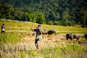 BIB: 
                            <button type="button" onclick="openModal(19127869)" class="btn btn-primary btn-sm float-right btn-popup" data-toggle="modal" data-target=".modal-high-quality">
                        <i class="fas fa-shopping-cart"></i> Add to Cart
                    </button>
                                            <button type="button" onclick="isThisMe(19127869, true)" class="btn btn-success btn-sm float-right btn-popup btn-isme hidden" data-toggle="tooltip" data-placement="bottom" title="นี่คือรูปของคุณใช่ไหม คลิกที่นี่เพื่อเอาเข้าอัลบั้ม">
                        <i class="fas fa-plus"></i> Add to album
                    </button>
                    <button type="button" onclick="isThisMe(19127869, false)" class="btn btn-warning btn-sm float-right btn-popup btn-isnotme hidden">
                        <i class="fas fa-ban"></i> Remove from album
                    </button>