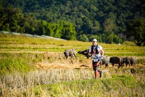 BIB: 
                            <button type="button" onclick="openModal(19127686)" class="btn btn-primary btn-sm float-right btn-popup" data-toggle="modal" data-target=".modal-high-quality">
                        <i class="fas fa-shopping-cart"></i> Add to Cart
                    </button>
                                            <button type="button" onclick="isThisMe(19127686, true)" class="btn btn-success btn-sm float-right btn-popup btn-isme hidden" data-toggle="tooltip" data-placement="bottom" title="นี่คือรูปของคุณใช่ไหม คลิกที่นี่เพื่อเอาเข้าอัลบั้ม">
                        <i class="fas fa-plus"></i> Add to album
                    </button>
                    <button type="button" onclick="isThisMe(19127686, false)" class="btn btn-warning btn-sm float-right btn-popup btn-isnotme hidden">
                        <i class="fas fa-ban"></i> Remove from album
                    </button>