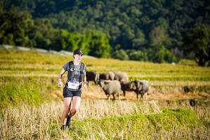 BIB: 901
                            <button type="button" onclick="openModal(19127414)" class="btn btn-primary btn-sm float-right btn-popup" data-toggle="modal" data-target=".modal-high-quality">
                        <i class="fas fa-shopping-cart"></i> Add to Cart
                    </button>
                                            <button type="button" onclick="isThisMe(19127414, true)" class="btn btn-success btn-sm float-right btn-popup btn-isme hidden" data-toggle="tooltip" data-placement="bottom" title="นี่คือรูปของคุณใช่ไหม คลิกที่นี่เพื่อเอาเข้าอัลบั้ม">
                        <i class="fas fa-plus"></i> Add to album
                    </button>
                    <button type="button" onclick="isThisMe(19127414, false)" class="btn btn-warning btn-sm float-right btn-popup btn-isnotme hidden">
                        <i class="fas fa-ban"></i> Remove from album
                    </button>