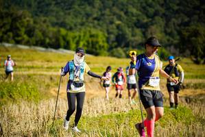 BIB: 1532
                            <button type="button" onclick="openModal(19129461)" class="btn btn-primary btn-sm float-right btn-popup" data-toggle="modal" data-target=".modal-high-quality">
                        <i class="fas fa-shopping-cart"></i> Add to Cart
                    </button>
                                            <button type="button" onclick="isThisMe(19129461, true)" class="btn btn-success btn-sm float-right btn-popup btn-isme hidden" data-toggle="tooltip" data-placement="bottom" title="นี่คือรูปของคุณใช่ไหม คลิกที่นี่เพื่อเอาเข้าอัลบั้ม">
                        <i class="fas fa-plus"></i> Add to album
                    </button>
                    <button type="button" onclick="isThisMe(19129461, false)" class="btn btn-warning btn-sm float-right btn-popup btn-isnotme hidden">
                        <i class="fas fa-ban"></i> Remove from album
                    </button>