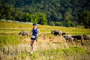 BIB: 
                            <button type="button" onclick="openModal(19127615)" class="btn btn-primary btn-sm float-right btn-popup" data-toggle="modal" data-target=".modal-high-quality">
                        <i class="fas fa-shopping-cart"></i> Add to Cart
                    </button>
                                            <button type="button" onclick="isThisMe(19127615, true)" class="btn btn-success btn-sm float-right btn-popup btn-isme hidden" data-toggle="tooltip" data-placement="bottom" title="นี่คือรูปของคุณใช่ไหม คลิกที่นี่เพื่อเอาเข้าอัลบั้ม">
                        <i class="fas fa-plus"></i> Add to album
                    </button>
                    <button type="button" onclick="isThisMe(19127615, false)" class="btn btn-warning btn-sm float-right btn-popup btn-isnotme hidden">
                        <i class="fas fa-ban"></i> Remove from album
                    </button>