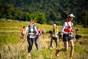 BIB: 
                            <button type="button" onclick="openModal(19128167)" class="btn btn-primary btn-sm float-right btn-popup" data-toggle="modal" data-target=".modal-high-quality">
                        <i class="fas fa-shopping-cart"></i> Add to Cart
                    </button>
                                            <button type="button" onclick="isThisMe(19128167, true)" class="btn btn-success btn-sm float-right btn-popup btn-isme hidden" data-toggle="tooltip" data-placement="bottom" title="นี่คือรูปของคุณใช่ไหม คลิกที่นี่เพื่อเอาเข้าอัลบั้ม">
                        <i class="fas fa-plus"></i> Add to album
                    </button>
                    <button type="button" onclick="isThisMe(19128167, false)" class="btn btn-warning btn-sm float-right btn-popup btn-isnotme hidden">
                        <i class="fas fa-ban"></i> Remove from album
                    </button>