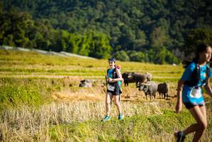 BIB: 
                            <button type="button" onclick="openModal(19127809)" class="btn btn-primary btn-sm float-right btn-popup" data-toggle="modal" data-target=".modal-high-quality">
                        <i class="fas fa-shopping-cart"></i> Add to Cart
                    </button>
                                            <button type="button" onclick="isThisMe(19127809, true)" class="btn btn-success btn-sm float-right btn-popup btn-isme hidden" data-toggle="tooltip" data-placement="bottom" title="นี่คือรูปของคุณใช่ไหม คลิกที่นี่เพื่อเอาเข้าอัลบั้ม">
                        <i class="fas fa-plus"></i> Add to album
                    </button>
                    <button type="button" onclick="isThisMe(19127809, false)" class="btn btn-warning btn-sm float-right btn-popup btn-isnotme hidden">
                        <i class="fas fa-ban"></i> Remove from album
                    </button>