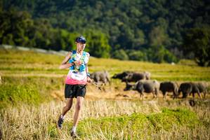 BIB: 101
                            <button type="button" onclick="openModal(19127652)" class="btn btn-primary btn-sm float-right btn-popup" data-toggle="modal" data-target=".modal-high-quality">
                        <i class="fas fa-shopping-cart"></i> Add to Cart
                    </button>
                                            <button type="button" onclick="isThisMe(19127652, true)" class="btn btn-success btn-sm float-right btn-popup btn-isme hidden" data-toggle="tooltip" data-placement="bottom" title="นี่คือรูปของคุณใช่ไหม คลิกที่นี่เพื่อเอาเข้าอัลบั้ม">
                        <i class="fas fa-plus"></i> Add to album
                    </button>
                    <button type="button" onclick="isThisMe(19127652, false)" class="btn btn-warning btn-sm float-right btn-popup btn-isnotme hidden">
                        <i class="fas fa-ban"></i> Remove from album
                    </button>