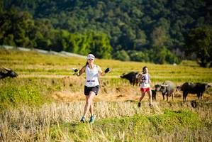 BIB: 905
                            <button type="button" onclick="openModal(19127523)" class="btn btn-primary btn-sm float-right btn-popup" data-toggle="modal" data-target=".modal-high-quality">
                        <i class="fas fa-shopping-cart"></i> Add to Cart
                    </button>
                                            <button type="button" onclick="isThisMe(19127523, true)" class="btn btn-success btn-sm float-right btn-popup btn-isme hidden" data-toggle="tooltip" data-placement="bottom" title="นี่คือรูปของคุณใช่ไหม คลิกที่นี่เพื่อเอาเข้าอัลบั้ม">
                        <i class="fas fa-plus"></i> Add to album
                    </button>
                    <button type="button" onclick="isThisMe(19127523, false)" class="btn btn-warning btn-sm float-right btn-popup btn-isnotme hidden">
                        <i class="fas fa-ban"></i> Remove from album
                    </button>