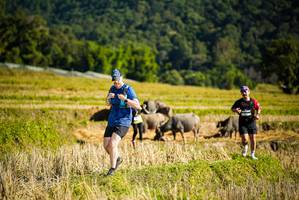 BIB: 
                            <button type="button" onclick="openModal(19128016)" class="btn btn-primary btn-sm float-right btn-popup" data-toggle="modal" data-target=".modal-high-quality">
                        <i class="fas fa-shopping-cart"></i> Add to Cart
                    </button>
                                            <button type="button" onclick="isThisMe(19128016, true)" class="btn btn-success btn-sm float-right btn-popup btn-isme hidden" data-toggle="tooltip" data-placement="bottom" title="นี่คือรูปของคุณใช่ไหม คลิกที่นี่เพื่อเอาเข้าอัลบั้ม">
                        <i class="fas fa-plus"></i> Add to album
                    </button>
                    <button type="button" onclick="isThisMe(19128016, false)" class="btn btn-warning btn-sm float-right btn-popup btn-isnotme hidden">
                        <i class="fas fa-ban"></i> Remove from album
                    </button>