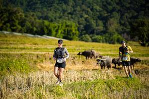 BIB: 
                            <button type="button" onclick="openModal(19128264)" class="btn btn-primary btn-sm float-right btn-popup" data-toggle="modal" data-target=".modal-high-quality">
                        <i class="fas fa-shopping-cart"></i> Add to Cart
                    </button>
                                            <button type="button" onclick="isThisMe(19128264, true)" class="btn btn-success btn-sm float-right btn-popup btn-isme hidden" data-toggle="tooltip" data-placement="bottom" title="นี่คือรูปของคุณใช่ไหม คลิกที่นี่เพื่อเอาเข้าอัลบั้ม">
                        <i class="fas fa-plus"></i> Add to album
                    </button>
                    <button type="button" onclick="isThisMe(19128264, false)" class="btn btn-warning btn-sm float-right btn-popup btn-isnotme hidden">
                        <i class="fas fa-ban"></i> Remove from album
                    </button>