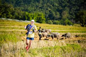 BIB: 
                            <button type="button" onclick="openModal(19127971)" class="btn btn-primary btn-sm float-right btn-popup" data-toggle="modal" data-target=".modal-high-quality">
                        <i class="fas fa-shopping-cart"></i> Add to Cart
                    </button>
                                            <button type="button" onclick="isThisMe(19127971, true)" class="btn btn-success btn-sm float-right btn-popup btn-isme hidden" data-toggle="tooltip" data-placement="bottom" title="นี่คือรูปของคุณใช่ไหม คลิกที่นี่เพื่อเอาเข้าอัลบั้ม">
                        <i class="fas fa-plus"></i> Add to album
                    </button>
                    <button type="button" onclick="isThisMe(19127971, false)" class="btn btn-warning btn-sm float-right btn-popup btn-isnotme hidden">
                        <i class="fas fa-ban"></i> Remove from album
                    </button>