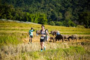 BIB: 
                            <button type="button" onclick="openModal(19128284)" class="btn btn-primary btn-sm float-right btn-popup" data-toggle="modal" data-target=".modal-high-quality">
                        <i class="fas fa-shopping-cart"></i> Add to Cart
                    </button>
                                            <button type="button" onclick="isThisMe(19128284, true)" class="btn btn-success btn-sm float-right btn-popup btn-isme hidden" data-toggle="tooltip" data-placement="bottom" title="นี่คือรูปของคุณใช่ไหม คลิกที่นี่เพื่อเอาเข้าอัลบั้ม">
                        <i class="fas fa-plus"></i> Add to album
                    </button>
                    <button type="button" onclick="isThisMe(19128284, false)" class="btn btn-warning btn-sm float-right btn-popup btn-isnotme hidden">
                        <i class="fas fa-ban"></i> Remove from album
                    </button>