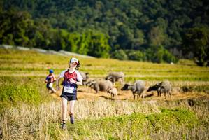 BIB: 
                            <button type="button" onclick="openModal(19127933)" class="btn btn-primary btn-sm float-right btn-popup" data-toggle="modal" data-target=".modal-high-quality">
                        <i class="fas fa-shopping-cart"></i> Add to Cart
                    </button>
                                            <button type="button" onclick="isThisMe(19127933, true)" class="btn btn-success btn-sm float-right btn-popup btn-isme hidden" data-toggle="tooltip" data-placement="bottom" title="นี่คือรูปของคุณใช่ไหม คลิกที่นี่เพื่อเอาเข้าอัลบั้ม">
                        <i class="fas fa-plus"></i> Add to album
                    </button>
                    <button type="button" onclick="isThisMe(19127933, false)" class="btn btn-warning btn-sm float-right btn-popup btn-isnotme hidden">
                        <i class="fas fa-ban"></i> Remove from album
                    </button>