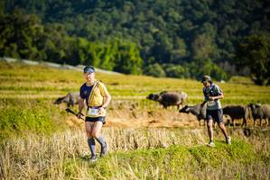 BIB: 
                            <button type="button" onclick="openModal(19127580)" class="btn btn-primary btn-sm float-right btn-popup" data-toggle="modal" data-target=".modal-high-quality">
                        <i class="fas fa-shopping-cart"></i> Add to Cart
                    </button>
                                            <button type="button" onclick="isThisMe(19127580, true)" class="btn btn-success btn-sm float-right btn-popup btn-isme hidden" data-toggle="tooltip" data-placement="bottom" title="นี่คือรูปของคุณใช่ไหม คลิกที่นี่เพื่อเอาเข้าอัลบั้ม">
                        <i class="fas fa-plus"></i> Add to album
                    </button>
                    <button type="button" onclick="isThisMe(19127580, false)" class="btn btn-warning btn-sm float-right btn-popup btn-isnotme hidden">
                        <i class="fas fa-ban"></i> Remove from album
                    </button>