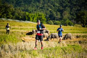 BIB: 
                            <button type="button" onclick="openModal(19128012)" class="btn btn-primary btn-sm float-right btn-popup" data-toggle="modal" data-target=".modal-high-quality">
                        <i class="fas fa-shopping-cart"></i> Add to Cart
                    </button>
                                            <button type="button" onclick="isThisMe(19128012, true)" class="btn btn-success btn-sm float-right btn-popup btn-isme hidden" data-toggle="tooltip" data-placement="bottom" title="นี่คือรูปของคุณใช่ไหม คลิกที่นี่เพื่อเอาเข้าอัลบั้ม">
                        <i class="fas fa-plus"></i> Add to album
                    </button>
                    <button type="button" onclick="isThisMe(19128012, false)" class="btn btn-warning btn-sm float-right btn-popup btn-isnotme hidden">
                        <i class="fas fa-ban"></i> Remove from album
                    </button>