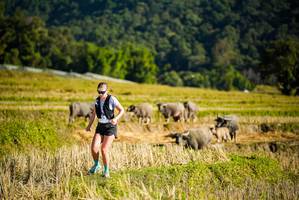 BIB: 
                            <button type="button" onclick="openModal(19127495)" class="btn btn-primary btn-sm float-right btn-popup" data-toggle="modal" data-target=".modal-high-quality">
                        <i class="fas fa-shopping-cart"></i> Add to Cart
                    </button>
                                            <button type="button" onclick="isThisMe(19127495, true)" class="btn btn-success btn-sm float-right btn-popup btn-isme hidden" data-toggle="tooltip" data-placement="bottom" title="นี่คือรูปของคุณใช่ไหม คลิกที่นี่เพื่อเอาเข้าอัลบั้ม">
                        <i class="fas fa-plus"></i> Add to album
                    </button>
                    <button type="button" onclick="isThisMe(19127495, false)" class="btn btn-warning btn-sm float-right btn-popup btn-isnotme hidden">
                        <i class="fas fa-ban"></i> Remove from album
                    </button>