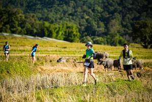 BIB: 
                            <button type="button" onclick="openModal(19127782)" class="btn btn-primary btn-sm float-right btn-popup" data-toggle="modal" data-target=".modal-high-quality">
                        <i class="fas fa-shopping-cart"></i> Add to Cart
                    </button>
                                            <button type="button" onclick="isThisMe(19127782, true)" class="btn btn-success btn-sm float-right btn-popup btn-isme hidden" data-toggle="tooltip" data-placement="bottom" title="นี่คือรูปของคุณใช่ไหม คลิกที่นี่เพื่อเอาเข้าอัลบั้ม">
                        <i class="fas fa-plus"></i> Add to album
                    </button>
                    <button type="button" onclick="isThisMe(19127782, false)" class="btn btn-warning btn-sm float-right btn-popup btn-isnotme hidden">
                        <i class="fas fa-ban"></i> Remove from album
                    </button>