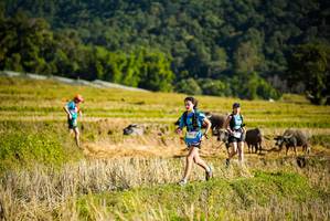 BIB: 
                            <button type="button" onclick="openModal(19127802)" class="btn btn-primary btn-sm float-right btn-popup" data-toggle="modal" data-target=".modal-high-quality">
                        <i class="fas fa-shopping-cart"></i> Add to Cart
                    </button>
                                            <button type="button" onclick="isThisMe(19127802, true)" class="btn btn-success btn-sm float-right btn-popup btn-isme hidden" data-toggle="tooltip" data-placement="bottom" title="นี่คือรูปของคุณใช่ไหม คลิกที่นี่เพื่อเอาเข้าอัลบั้ม">
                        <i class="fas fa-plus"></i> Add to album
                    </button>
                    <button type="button" onclick="isThisMe(19127802, false)" class="btn btn-warning btn-sm float-right btn-popup btn-isnotme hidden">
                        <i class="fas fa-ban"></i> Remove from album
                    </button>