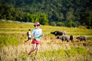 BIB: 
                            <button type="button" onclick="openModal(19127741)" class="btn btn-primary btn-sm float-right btn-popup" data-toggle="modal" data-target=".modal-high-quality">
                        <i class="fas fa-shopping-cart"></i> Add to Cart
                    </button>
                                            <button type="button" onclick="isThisMe(19127741, true)" class="btn btn-success btn-sm float-right btn-popup btn-isme hidden" data-toggle="tooltip" data-placement="bottom" title="นี่คือรูปของคุณใช่ไหม คลิกที่นี่เพื่อเอาเข้าอัลบั้ม">
                        <i class="fas fa-plus"></i> Add to album
                    </button>
                    <button type="button" onclick="isThisMe(19127741, false)" class="btn btn-warning btn-sm float-right btn-popup btn-isnotme hidden">
                        <i class="fas fa-ban"></i> Remove from album
                    </button>