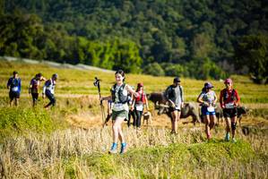 BIB: 
                            <button type="button" onclick="openModal(19128113)" class="btn btn-primary btn-sm float-right btn-popup" data-toggle="modal" data-target=".modal-high-quality">
                        <i class="fas fa-shopping-cart"></i> Add to Cart
                    </button>
                                            <button type="button" onclick="isThisMe(19128113, true)" class="btn btn-success btn-sm float-right btn-popup btn-isme hidden" data-toggle="tooltip" data-placement="bottom" title="นี่คือรูปของคุณใช่ไหม คลิกที่นี่เพื่อเอาเข้าอัลบั้ม">
                        <i class="fas fa-plus"></i> Add to album
                    </button>
                    <button type="button" onclick="isThisMe(19128113, false)" class="btn btn-warning btn-sm float-right btn-popup btn-isnotme hidden">
                        <i class="fas fa-ban"></i> Remove from album
                    </button>