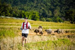 BIB: 
                            <button type="button" onclick="openModal(19127923)" class="btn btn-primary btn-sm float-right btn-popup" data-toggle="modal" data-target=".modal-high-quality">
                        <i class="fas fa-shopping-cart"></i> Add to Cart
                    </button>
                                            <button type="button" onclick="isThisMe(19127923, true)" class="btn btn-success btn-sm float-right btn-popup btn-isme hidden" data-toggle="tooltip" data-placement="bottom" title="นี่คือรูปของคุณใช่ไหม คลิกที่นี่เพื่อเอาเข้าอัลบั้ม">
                        <i class="fas fa-plus"></i> Add to album
                    </button>
                    <button type="button" onclick="isThisMe(19127923, false)" class="btn btn-warning btn-sm float-right btn-popup btn-isnotme hidden">
                        <i class="fas fa-ban"></i> Remove from album
                    </button>