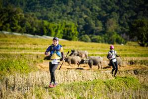 BIB: 104
                            <button type="button" onclick="openModal(19127956)" class="btn btn-primary btn-sm float-right btn-popup" data-toggle="modal" data-target=".modal-high-quality">
                        <i class="fas fa-shopping-cart"></i> Add to Cart
                    </button>
                                            <button type="button" onclick="isThisMe(19127956, true)" class="btn btn-success btn-sm float-right btn-popup btn-isme hidden" data-toggle="tooltip" data-placement="bottom" title="นี่คือรูปของคุณใช่ไหม คลิกที่นี่เพื่อเอาเข้าอัลบั้ม">
                        <i class="fas fa-plus"></i> Add to album
                    </button>
                    <button type="button" onclick="isThisMe(19127956, false)" class="btn btn-warning btn-sm float-right btn-popup btn-isnotme hidden">
                        <i class="fas fa-ban"></i> Remove from album
                    </button>