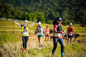 BIB: 1053, 434
                            <button type="button" onclick="openModal(19128174)" class="btn btn-primary btn-sm float-right btn-popup" data-toggle="modal" data-target=".modal-high-quality">
                        <i class="fas fa-shopping-cart"></i> Add to Cart
                    </button>
                                            <button type="button" onclick="isThisMe(19128174, true)" class="btn btn-success btn-sm float-right btn-popup btn-isme hidden" data-toggle="tooltip" data-placement="bottom" title="นี่คือรูปของคุณใช่ไหม คลิกที่นี่เพื่อเอาเข้าอัลบั้ม">
                        <i class="fas fa-plus"></i> Add to album
                    </button>
                    <button type="button" onclick="isThisMe(19128174, false)" class="btn btn-warning btn-sm float-right btn-popup btn-isnotme hidden">
                        <i class="fas fa-ban"></i> Remove from album
                    </button>