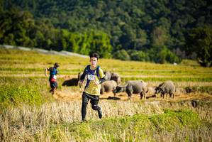 BIB: 
                            <button type="button" onclick="openModal(19128004)" class="btn btn-primary btn-sm float-right btn-popup" data-toggle="modal" data-target=".modal-high-quality">
                        <i class="fas fa-shopping-cart"></i> Add to Cart
                    </button>
                                            <button type="button" onclick="isThisMe(19128004, true)" class="btn btn-success btn-sm float-right btn-popup btn-isme hidden" data-toggle="tooltip" data-placement="bottom" title="นี่คือรูปของคุณใช่ไหม คลิกที่นี่เพื่อเอาเข้าอัลบั้ม">
                        <i class="fas fa-plus"></i> Add to album
                    </button>
                    <button type="button" onclick="isThisMe(19128004, false)" class="btn btn-warning btn-sm float-right btn-popup btn-isnotme hidden">
                        <i class="fas fa-ban"></i> Remove from album
                    </button>