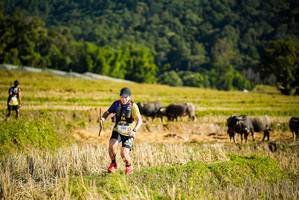 BIB: 
                            <button type="button" onclick="openModal(19127870)" class="btn btn-primary btn-sm float-right btn-popup" data-toggle="modal" data-target=".modal-high-quality">
                        <i class="fas fa-shopping-cart"></i> Add to Cart
                    </button>
                                            <button type="button" onclick="isThisMe(19127870, true)" class="btn btn-success btn-sm float-right btn-popup btn-isme hidden" data-toggle="tooltip" data-placement="bottom" title="นี่คือรูปของคุณใช่ไหม คลิกที่นี่เพื่อเอาเข้าอัลบั้ม">
                        <i class="fas fa-plus"></i> Add to album
                    </button>
                    <button type="button" onclick="isThisMe(19127870, false)" class="btn btn-warning btn-sm float-right btn-popup btn-isnotme hidden">
                        <i class="fas fa-ban"></i> Remove from album
                    </button>