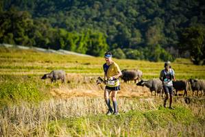 BIB: 
                            <button type="button" onclick="openModal(19127581)" class="btn btn-primary btn-sm float-right btn-popup" data-toggle="modal" data-target=".modal-high-quality">
                        <i class="fas fa-shopping-cart"></i> Add to Cart
                    </button>
                                            <button type="button" onclick="isThisMe(19127581, true)" class="btn btn-success btn-sm float-right btn-popup btn-isme hidden" data-toggle="tooltip" data-placement="bottom" title="นี่คือรูปของคุณใช่ไหม คลิกที่นี่เพื่อเอาเข้าอัลบั้ม">
                        <i class="fas fa-plus"></i> Add to album
                    </button>
                    <button type="button" onclick="isThisMe(19127581, false)" class="btn btn-warning btn-sm float-right btn-popup btn-isnotme hidden">
                        <i class="fas fa-ban"></i> Remove from album
                    </button>