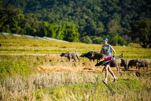 BIB: 
                            <button type="button" onclick="openModal(19127642)" class="btn btn-primary btn-sm float-right btn-popup" data-toggle="modal" data-target=".modal-high-quality">
                        <i class="fas fa-shopping-cart"></i> Add to Cart
                    </button>
                                            <button type="button" onclick="isThisMe(19127642, true)" class="btn btn-success btn-sm float-right btn-popup btn-isme hidden" data-toggle="tooltip" data-placement="bottom" title="นี่คือรูปของคุณใช่ไหม คลิกที่นี่เพื่อเอาเข้าอัลบั้ม">
                        <i class="fas fa-plus"></i> Add to album
                    </button>
                    <button type="button" onclick="isThisMe(19127642, false)" class="btn btn-warning btn-sm float-right btn-popup btn-isnotme hidden">
                        <i class="fas fa-ban"></i> Remove from album
                    </button>