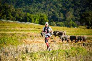 BIB: 
                            <button type="button" onclick="openModal(19127684)" class="btn btn-primary btn-sm float-right btn-popup" data-toggle="modal" data-target=".modal-high-quality">
                        <i class="fas fa-shopping-cart"></i> Add to Cart
                    </button>
                                            <button type="button" onclick="isThisMe(19127684, true)" class="btn btn-success btn-sm float-right btn-popup btn-isme hidden" data-toggle="tooltip" data-placement="bottom" title="นี่คือรูปของคุณใช่ไหม คลิกที่นี่เพื่อเอาเข้าอัลบั้ม">
                        <i class="fas fa-plus"></i> Add to album
                    </button>
                    <button type="button" onclick="isThisMe(19127684, false)" class="btn btn-warning btn-sm float-right btn-popup btn-isnotme hidden">
                        <i class="fas fa-ban"></i> Remove from album
                    </button>