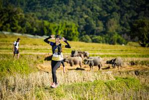 BIB: 
                            <button type="button" onclick="openModal(19127980)" class="btn btn-primary btn-sm float-right btn-popup" data-toggle="modal" data-target=".modal-high-quality">
                        <i class="fas fa-shopping-cart"></i> Add to Cart
                    </button>
                                            <button type="button" onclick="isThisMe(19127980, true)" class="btn btn-success btn-sm float-right btn-popup btn-isme hidden" data-toggle="tooltip" data-placement="bottom" title="นี่คือรูปของคุณใช่ไหม คลิกที่นี่เพื่อเอาเข้าอัลบั้ม">
                        <i class="fas fa-plus"></i> Add to album
                    </button>
                    <button type="button" onclick="isThisMe(19127980, false)" class="btn btn-warning btn-sm float-right btn-popup btn-isnotme hidden">
                        <i class="fas fa-ban"></i> Remove from album
                    </button>