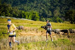 BIB: 
                            <button type="button" onclick="openModal(19127582)" class="btn btn-primary btn-sm float-right btn-popup" data-toggle="modal" data-target=".modal-high-quality">
                        <i class="fas fa-shopping-cart"></i> Add to Cart
                    </button>
                                            <button type="button" onclick="isThisMe(19127582, true)" class="btn btn-success btn-sm float-right btn-popup btn-isme hidden" data-toggle="tooltip" data-placement="bottom" title="นี่คือรูปของคุณใช่ไหม คลิกที่นี่เพื่อเอาเข้าอัลบั้ม">
                        <i class="fas fa-plus"></i> Add to album
                    </button>
                    <button type="button" onclick="isThisMe(19127582, false)" class="btn btn-warning btn-sm float-right btn-popup btn-isnotme hidden">
                        <i class="fas fa-ban"></i> Remove from album
                    </button>