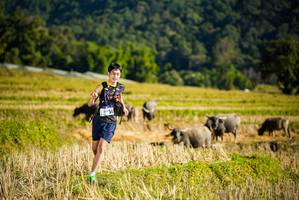 BIB: 
                            <button type="button" onclick="openModal(19127511)" class="btn btn-primary btn-sm float-right btn-popup" data-toggle="modal" data-target=".modal-high-quality">
                        <i class="fas fa-shopping-cart"></i> Add to Cart
                    </button>
                                            <button type="button" onclick="isThisMe(19127511, true)" class="btn btn-success btn-sm float-right btn-popup btn-isme hidden" data-toggle="tooltip" data-placement="bottom" title="นี่คือรูปของคุณใช่ไหม คลิกที่นี่เพื่อเอาเข้าอัลบั้ม">
                        <i class="fas fa-plus"></i> Add to album
                    </button>
                    <button type="button" onclick="isThisMe(19127511, false)" class="btn btn-warning btn-sm float-right btn-popup btn-isnotme hidden">
                        <i class="fas fa-ban"></i> Remove from album
                    </button>