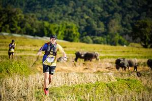 BIB: 1103, 
                            <button type="button" onclick="openModal(19127874)" class="btn btn-primary btn-sm float-right btn-popup" data-toggle="modal" data-target=".modal-high-quality">
                        <i class="fas fa-shopping-cart"></i> Add to Cart
                    </button>
                                            <button type="button" onclick="isThisMe(19127874, true)" class="btn btn-success btn-sm float-right btn-popup btn-isme hidden" data-toggle="tooltip" data-placement="bottom" title="นี่คือรูปของคุณใช่ไหม คลิกที่นี่เพื่อเอาเข้าอัลบั้ม">
                        <i class="fas fa-plus"></i> Add to album
                    </button>
                    <button type="button" onclick="isThisMe(19127874, false)" class="btn btn-warning btn-sm float-right btn-popup btn-isnotme hidden">
                        <i class="fas fa-ban"></i> Remove from album
                    </button>