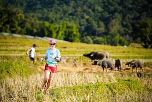 BIB: 
                            <button type="button" onclick="openModal(19127734)" class="btn btn-primary btn-sm float-right btn-popup" data-toggle="modal" data-target=".modal-high-quality">
                        <i class="fas fa-shopping-cart"></i> Add to Cart
                    </button>
                                            <button type="button" onclick="isThisMe(19127734, true)" class="btn btn-success btn-sm float-right btn-popup btn-isme hidden" data-toggle="tooltip" data-placement="bottom" title="นี่คือรูปของคุณใช่ไหม คลิกที่นี่เพื่อเอาเข้าอัลบั้ม">
                        <i class="fas fa-plus"></i> Add to album
                    </button>
                    <button type="button" onclick="isThisMe(19127734, false)" class="btn btn-warning btn-sm float-right btn-popup btn-isnotme hidden">
                        <i class="fas fa-ban"></i> Remove from album
                    </button>