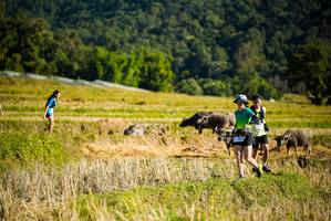 BIB: 
                            <button type="button" onclick="openModal(19127774)" class="btn btn-primary btn-sm float-right btn-popup" data-toggle="modal" data-target=".modal-high-quality">
                        <i class="fas fa-shopping-cart"></i> Add to Cart
                    </button>
                                            <button type="button" onclick="isThisMe(19127774, true)" class="btn btn-success btn-sm float-right btn-popup btn-isme hidden" data-toggle="tooltip" data-placement="bottom" title="นี่คือรูปของคุณใช่ไหม คลิกที่นี่เพื่อเอาเข้าอัลบั้ม">
                        <i class="fas fa-plus"></i> Add to album
                    </button>
                    <button type="button" onclick="isThisMe(19127774, false)" class="btn btn-warning btn-sm float-right btn-popup btn-isnotme hidden">
                        <i class="fas fa-ban"></i> Remove from album
                    </button>