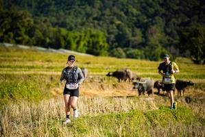 BIB: 1515
                            <button type="button" onclick="openModal(19128266)" class="btn btn-primary btn-sm float-right btn-popup" data-toggle="modal" data-target=".modal-high-quality">
                        <i class="fas fa-shopping-cart"></i> Add to Cart
                    </button>
                                            <button type="button" onclick="isThisMe(19128266, true)" class="btn btn-success btn-sm float-right btn-popup btn-isme hidden" data-toggle="tooltip" data-placement="bottom" title="นี่คือรูปของคุณใช่ไหม คลิกที่นี่เพื่อเอาเข้าอัลบั้ม">
                        <i class="fas fa-plus"></i> Add to album
                    </button>
                    <button type="button" onclick="isThisMe(19128266, false)" class="btn btn-warning btn-sm float-right btn-popup btn-isnotme hidden">
                        <i class="fas fa-ban"></i> Remove from album
                    </button>