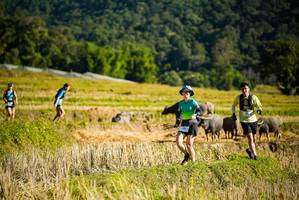 BIB: 
                            <button type="button" onclick="openModal(19127779)" class="btn btn-primary btn-sm float-right btn-popup" data-toggle="modal" data-target=".modal-high-quality">
                        <i class="fas fa-shopping-cart"></i> Add to Cart
                    </button>
                                            <button type="button" onclick="isThisMe(19127779, true)" class="btn btn-success btn-sm float-right btn-popup btn-isme hidden" data-toggle="tooltip" data-placement="bottom" title="นี่คือรูปของคุณใช่ไหม คลิกที่นี่เพื่อเอาเข้าอัลบั้ม">
                        <i class="fas fa-plus"></i> Add to album
                    </button>
                    <button type="button" onclick="isThisMe(19127779, false)" class="btn btn-warning btn-sm float-right btn-popup btn-isnotme hidden">
                        <i class="fas fa-ban"></i> Remove from album
                    </button>