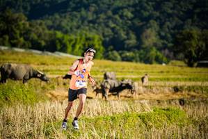 BIB: 100
                            <button type="button" onclick="openModal(19127380)" class="btn btn-primary btn-sm float-right btn-popup" data-toggle="modal" data-target=".modal-high-quality">
                        <i class="fas fa-shopping-cart"></i> Add to Cart
                    </button>
                                            <button type="button" onclick="isThisMe(19127380, true)" class="btn btn-success btn-sm float-right btn-popup btn-isme hidden" data-toggle="tooltip" data-placement="bottom" title="นี่คือรูปของคุณใช่ไหม คลิกที่นี่เพื่อเอาเข้าอัลบั้ม">
                        <i class="fas fa-plus"></i> Add to album
                    </button>
                    <button type="button" onclick="isThisMe(19127380, false)" class="btn btn-warning btn-sm float-right btn-popup btn-isnotme hidden">
                        <i class="fas fa-ban"></i> Remove from album
                    </button>