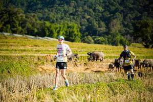 BIB: 
                            <button type="button" onclick="openModal(19127623)" class="btn btn-primary btn-sm float-right btn-popup" data-toggle="modal" data-target=".modal-high-quality">
                        <i class="fas fa-shopping-cart"></i> Add to Cart
                    </button>
                                            <button type="button" onclick="isThisMe(19127623, true)" class="btn btn-success btn-sm float-right btn-popup btn-isme hidden" data-toggle="tooltip" data-placement="bottom" title="นี่คือรูปของคุณใช่ไหม คลิกที่นี่เพื่อเอาเข้าอัลบั้ม">
                        <i class="fas fa-plus"></i> Add to album
                    </button>
                    <button type="button" onclick="isThisMe(19127623, false)" class="btn btn-warning btn-sm float-right btn-popup btn-isnotme hidden">
                        <i class="fas fa-ban"></i> Remove from album
                    </button>