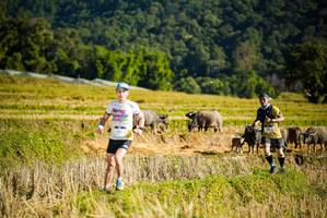 BIB: 
                            <button type="button" onclick="openModal(19127624)" class="btn btn-primary btn-sm float-right btn-popup" data-toggle="modal" data-target=".modal-high-quality">
                        <i class="fas fa-shopping-cart"></i> Add to Cart
                    </button>
                                            <button type="button" onclick="isThisMe(19127624, true)" class="btn btn-success btn-sm float-right btn-popup btn-isme hidden" data-toggle="tooltip" data-placement="bottom" title="นี่คือรูปของคุณใช่ไหม คลิกที่นี่เพื่อเอาเข้าอัลบั้ม">
                        <i class="fas fa-plus"></i> Add to album
                    </button>
                    <button type="button" onclick="isThisMe(19127624, false)" class="btn btn-warning btn-sm float-right btn-popup btn-isnotme hidden">
                        <i class="fas fa-ban"></i> Remove from album
                    </button>