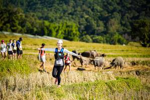 BIB: 1344
                            <button type="button" onclick="openModal(19128070)" class="btn btn-primary btn-sm float-right btn-popup" data-toggle="modal" data-target=".modal-high-quality">
                        <i class="fas fa-shopping-cart"></i> Add to Cart
                    </button>
                                            <button type="button" onclick="isThisMe(19128070, true)" class="btn btn-success btn-sm float-right btn-popup btn-isme hidden" data-toggle="tooltip" data-placement="bottom" title="นี่คือรูปของคุณใช่ไหม คลิกที่นี่เพื่อเอาเข้าอัลบั้ม">
                        <i class="fas fa-plus"></i> Add to album
                    </button>
                    <button type="button" onclick="isThisMe(19128070, false)" class="btn btn-warning btn-sm float-right btn-popup btn-isnotme hidden">
                        <i class="fas fa-ban"></i> Remove from album
                    </button>