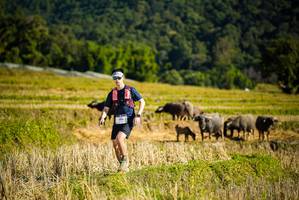 BIB: 
                            <button type="button" onclick="openModal(19128226)" class="btn btn-primary btn-sm float-right btn-popup" data-toggle="modal" data-target=".modal-high-quality">
                        <i class="fas fa-shopping-cart"></i> Add to Cart
                    </button>
                                            <button type="button" onclick="isThisMe(19128226, true)" class="btn btn-success btn-sm float-right btn-popup btn-isme hidden" data-toggle="tooltip" data-placement="bottom" title="นี่คือรูปของคุณใช่ไหม คลิกที่นี่เพื่อเอาเข้าอัลบั้ม">
                        <i class="fas fa-plus"></i> Add to album
                    </button>
                    <button type="button" onclick="isThisMe(19128226, false)" class="btn btn-warning btn-sm float-right btn-popup btn-isnotme hidden">
                        <i class="fas fa-ban"></i> Remove from album
                    </button>