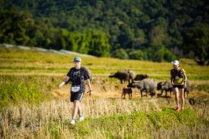 BIB: 1409
                            <button type="button" onclick="openModal(19128193)" class="btn btn-primary btn-sm float-right btn-popup" data-toggle="modal" data-target=".modal-high-quality">
                        <i class="fas fa-shopping-cart"></i> Add to Cart
                    </button>
                                            <button type="button" onclick="isThisMe(19128193, true)" class="btn btn-success btn-sm float-right btn-popup btn-isme hidden" data-toggle="tooltip" data-placement="bottom" title="นี่คือรูปของคุณใช่ไหม คลิกที่นี่เพื่อเอาเข้าอัลบั้ม">
                        <i class="fas fa-plus"></i> Add to album
                    </button>
                    <button type="button" onclick="isThisMe(19128193, false)" class="btn btn-warning btn-sm float-right btn-popup btn-isnotme hidden">
                        <i class="fas fa-ban"></i> Remove from album
                    </button>