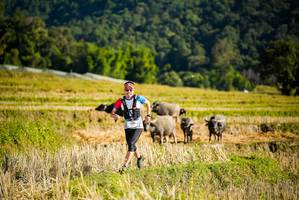 BIB: 
                            <button type="button" onclick="openModal(19127426)" class="btn btn-primary btn-sm float-right btn-popup" data-toggle="modal" data-target=".modal-high-quality">
                        <i class="fas fa-shopping-cart"></i> Add to Cart
                    </button>
                                            <button type="button" onclick="isThisMe(19127426, true)" class="btn btn-success btn-sm float-right btn-popup btn-isme hidden" data-toggle="tooltip" data-placement="bottom" title="นี่คือรูปของคุณใช่ไหม คลิกที่นี่เพื่อเอาเข้าอัลบั้ม">
                        <i class="fas fa-plus"></i> Add to album
                    </button>
                    <button type="button" onclick="isThisMe(19127426, false)" class="btn btn-warning btn-sm float-right btn-popup btn-isnotme hidden">
                        <i class="fas fa-ban"></i> Remove from album
                    </button>