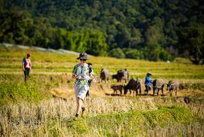 BIB: 
                            <button type="button" onclick="openModal(19128296)" class="btn btn-primary btn-sm float-right btn-popup" data-toggle="modal" data-target=".modal-high-quality">
                        <i class="fas fa-shopping-cart"></i> Add to Cart
                    </button>
                                            <button type="button" onclick="isThisMe(19128296, true)" class="btn btn-success btn-sm float-right btn-popup btn-isme hidden" data-toggle="tooltip" data-placement="bottom" title="นี่คือรูปของคุณใช่ไหม คลิกที่นี่เพื่อเอาเข้าอัลบั้ม">
                        <i class="fas fa-plus"></i> Add to album
                    </button>
                    <button type="button" onclick="isThisMe(19128296, false)" class="btn btn-warning btn-sm float-right btn-popup btn-isnotme hidden">
                        <i class="fas fa-ban"></i> Remove from album
                    </button>