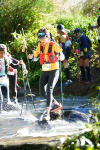 BIB: 1179
                            <button type="button" onclick="openModal(19261725)" class="btn btn-primary btn-sm float-right btn-popup" data-toggle="modal" data-target=".modal-high-quality">
                        <i class="fas fa-shopping-cart"></i> Add to Cart
                    </button>
                                            <button type="button" onclick="isThisMe(19261725, true)" class="btn btn-success btn-sm float-right btn-popup btn-isme hidden" data-toggle="tooltip" data-placement="bottom" title="นี่คือรูปของคุณใช่ไหม คลิกที่นี่เพื่อเอาเข้าอัลบั้ม">
                        <i class="fas fa-plus"></i> Add to album
                    </button>
                    <button type="button" onclick="isThisMe(19261725, false)" class="btn btn-warning btn-sm float-right btn-popup btn-isnotme hidden">
                        <i class="fas fa-ban"></i> Remove from album
                    </button>