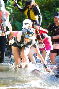 BIB: 
                            <button type="button" onclick="openModal(19262964)" class="btn btn-primary btn-sm float-right btn-popup" data-toggle="modal" data-target=".modal-high-quality">
                        <i class="fas fa-shopping-cart"></i> Add to Cart
                    </button>
                                            <button type="button" onclick="isThisMe(19262964, true)" class="btn btn-success btn-sm float-right btn-popup btn-isme hidden" data-toggle="tooltip" data-placement="bottom" title="นี่คือรูปของคุณใช่ไหม คลิกที่นี่เพื่อเอาเข้าอัลบั้ม">
                        <i class="fas fa-plus"></i> Add to album
                    </button>
                    <button type="button" onclick="isThisMe(19262964, false)" class="btn btn-warning btn-sm float-right btn-popup btn-isnotme hidden">
                        <i class="fas fa-ban"></i> Remove from album
                    </button>