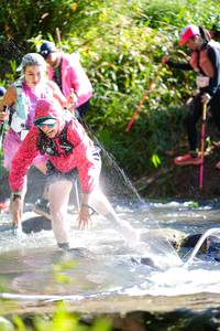 BIB: 
                            <button type="button" onclick="openModal(19259446)" class="btn btn-primary btn-sm float-right btn-popup" data-toggle="modal" data-target=".modal-high-quality">
                        <i class="fas fa-shopping-cart"></i> Add to Cart
                    </button>
                                            <button type="button" onclick="isThisMe(19259446, true)" class="btn btn-success btn-sm float-right btn-popup btn-isme hidden" data-toggle="tooltip" data-placement="bottom" title="นี่คือรูปของคุณใช่ไหม คลิกที่นี่เพื่อเอาเข้าอัลบั้ม">
                        <i class="fas fa-plus"></i> Add to album
                    </button>
                    <button type="button" onclick="isThisMe(19259446, false)" class="btn btn-warning btn-sm float-right btn-popup btn-isnotme hidden">
                        <i class="fas fa-ban"></i> Remove from album
                    </button>